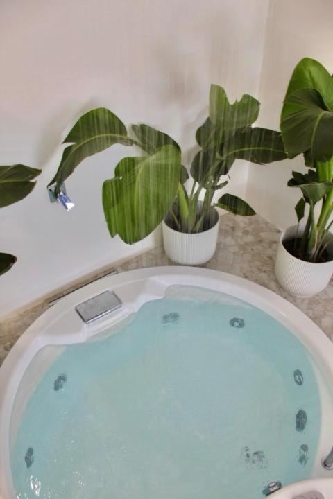 Cuore Del Cilento Relais&Retreat Castellabate Luaran gambar